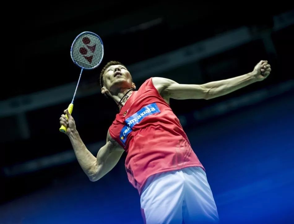 才智兼备的 才智兼备的